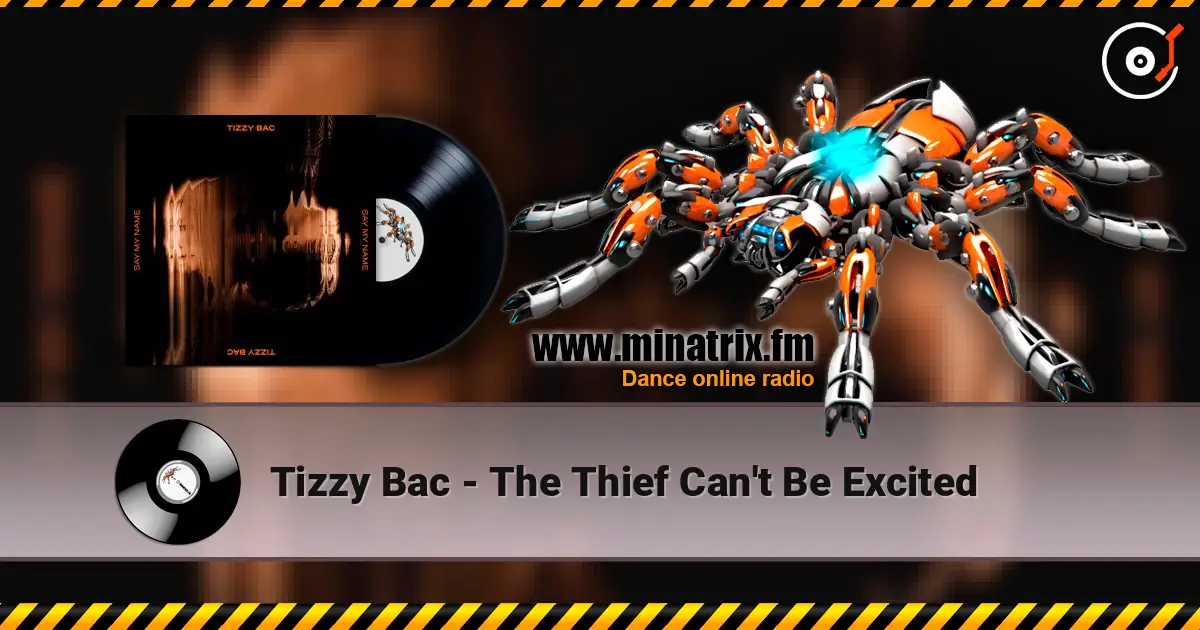 Tizzy Bac - The Thief Can't Be Excited жоғары сапада онлайн тыңдау | Minatrix.FM