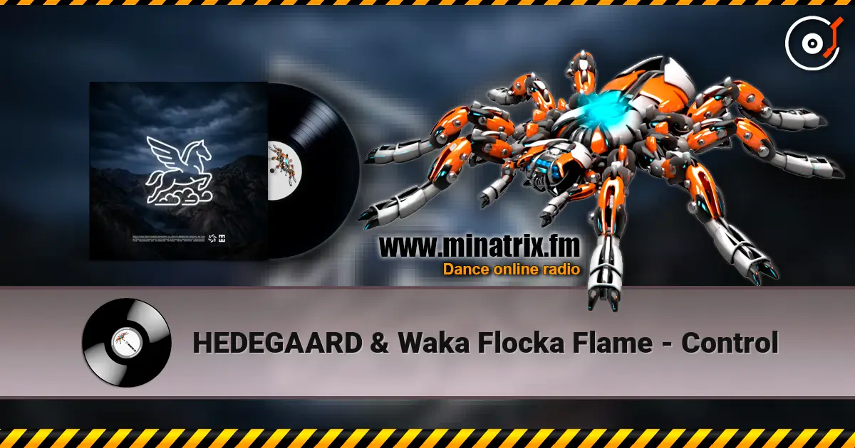 HEDEGAARD & Waka Flocka Flame - Control жоғары сапада онлайн тыңдау | Minatrix.FM