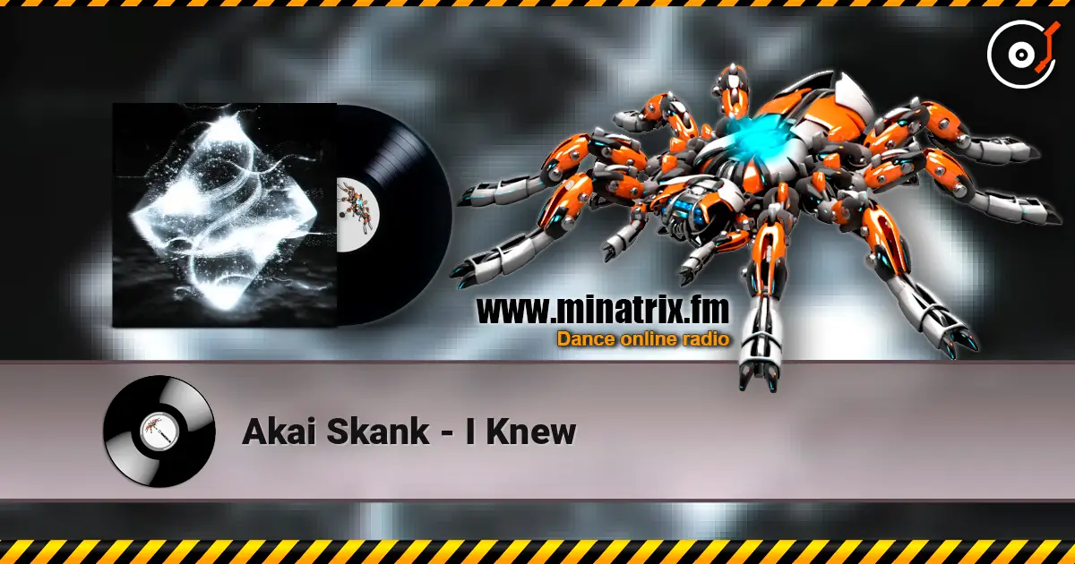 Akai Skank - I Knew жоғары сапада онлайн тыңдау | Minatrix.FM