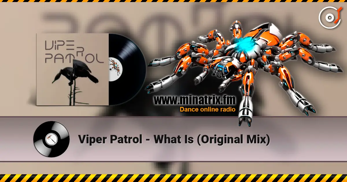 Viper Patrol - What Is (Original Mix) жоғары сапада онлайн тыңдау | Minatrix.FM