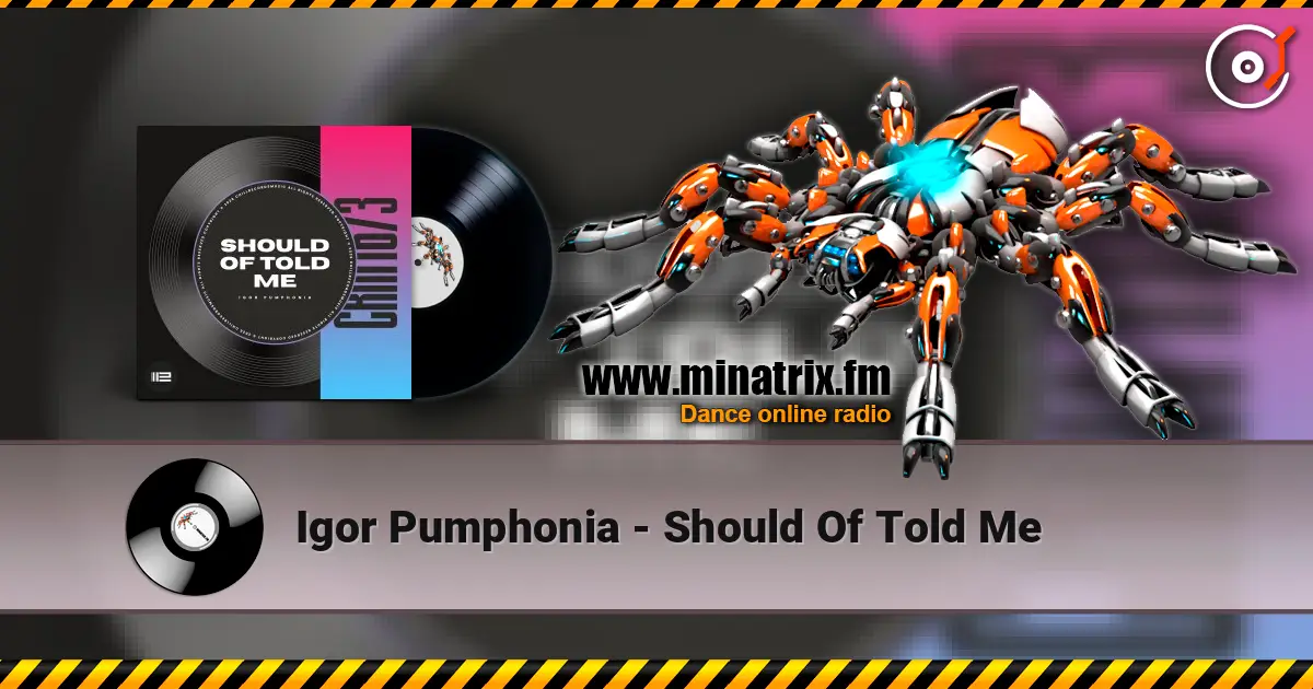 Igor Pumphonia - Should Of Told Me жоғары сапада онлайн тыңдау | Minatrix.FM