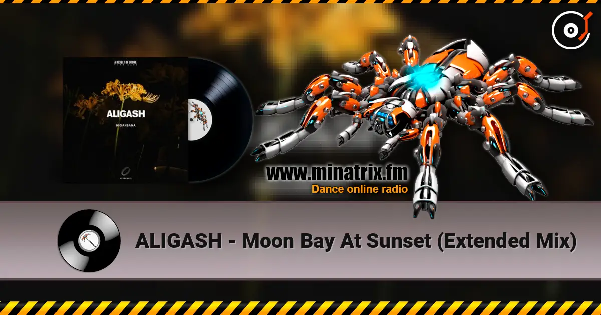 ALIGASH - Moon Bay At Sunset (Extended Mix) жоғары сапада онлайн тыңдау | Minatrix.FM