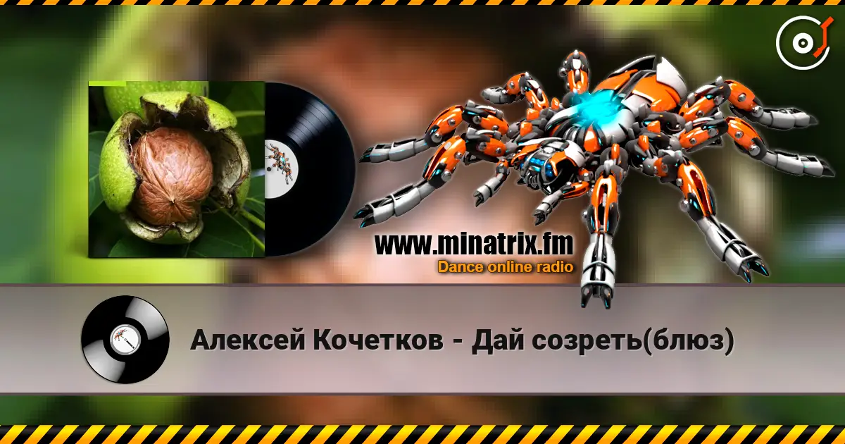 Алексей Кочетков - Дай созреть(блюз) écouter en ligne en haute qualité | Minatrix.FM