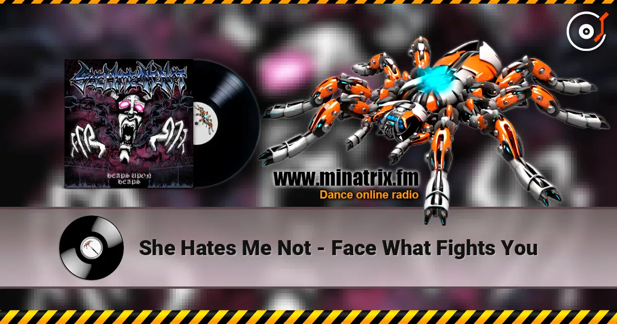 She Hates Me Not - Face What Fights You жоғары сапада онлайн тыңдау | Minatrix.FM