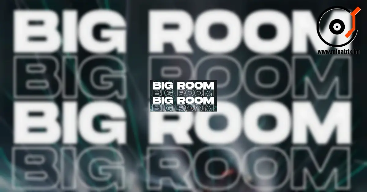 История Big Room House: Жанр, изменивший танцполы [kz]