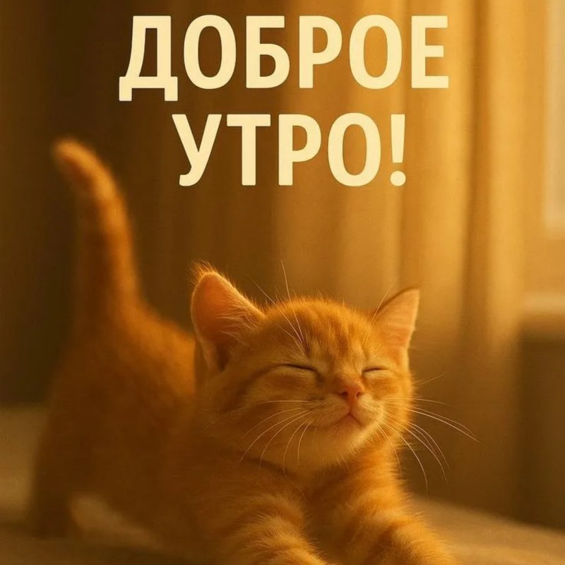 Сурет