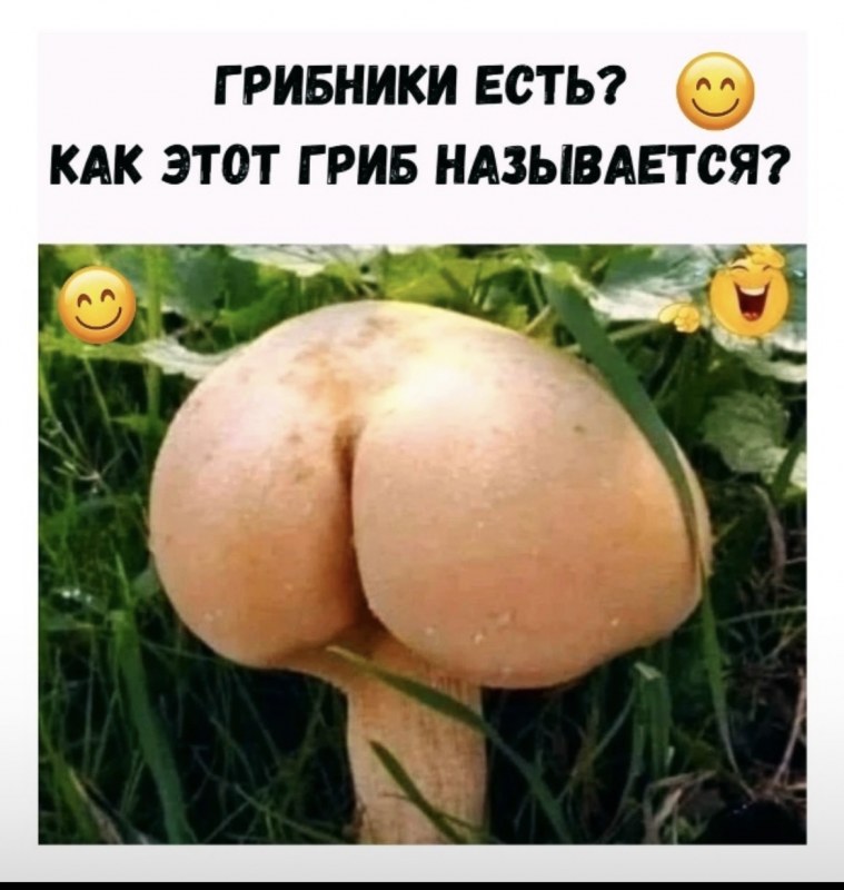 Сурет