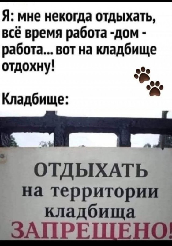 Сурет