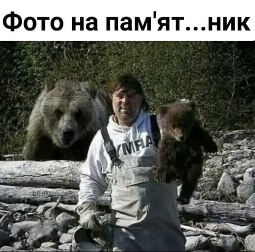 Сурет