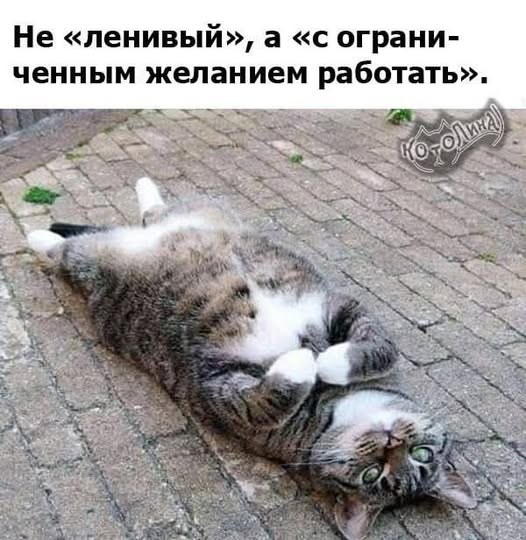 Сурет